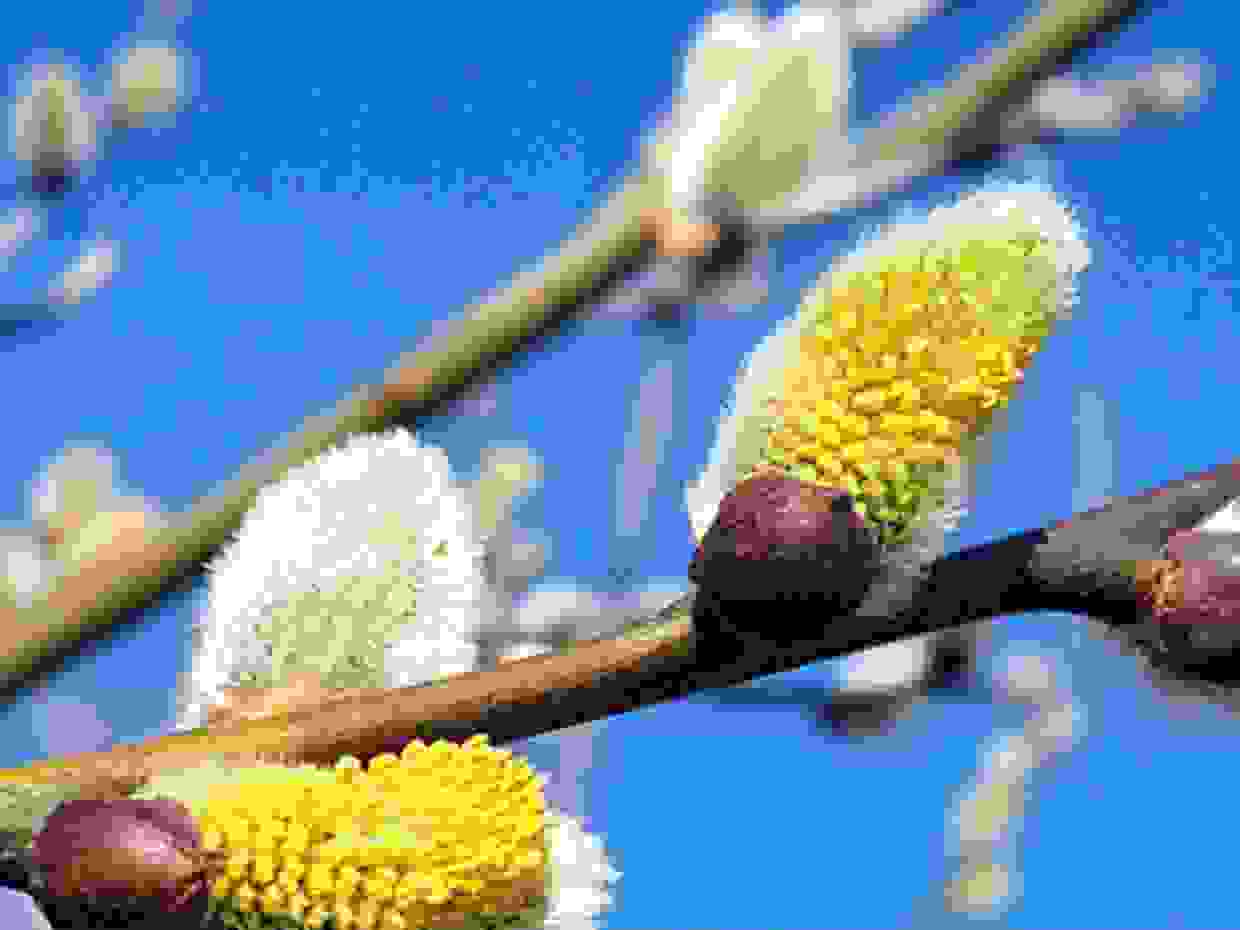 schritte_ch_wolfgang_weigand_blog_fruehling25