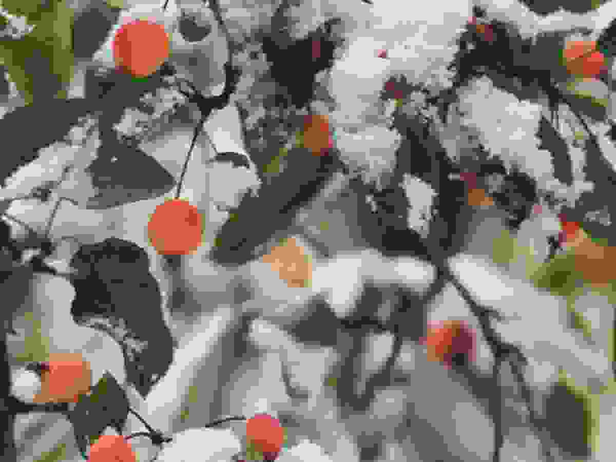 schritte_ch_wolfgang_weigand_blog_winter23