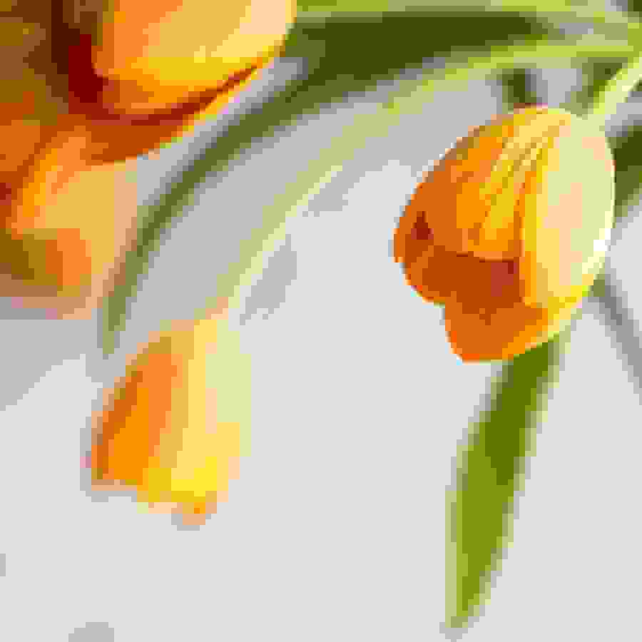 schritte_ch_wolfgang_weigand_blog_fruehling24_900x900.jpg