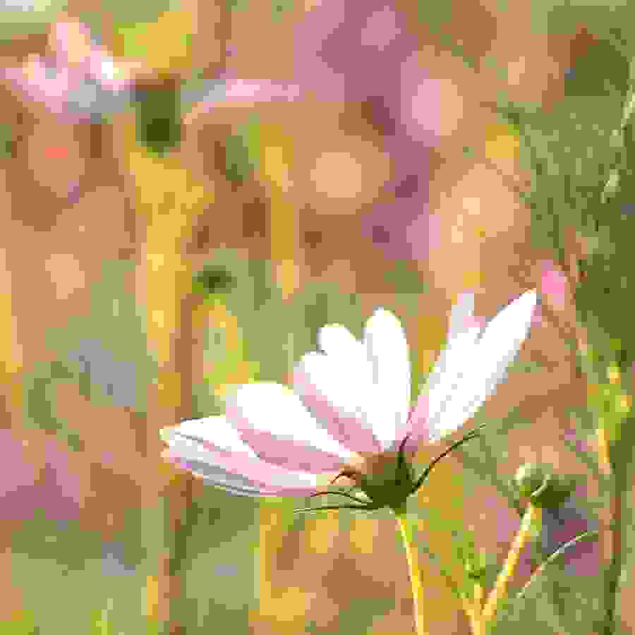 schritte_ch_wolfgang_weigand_blog_sommer24_900x900.jpg