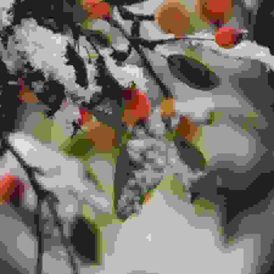 schritte_ch_wolfgang_weigand_blog_winter23_900x900.jpg