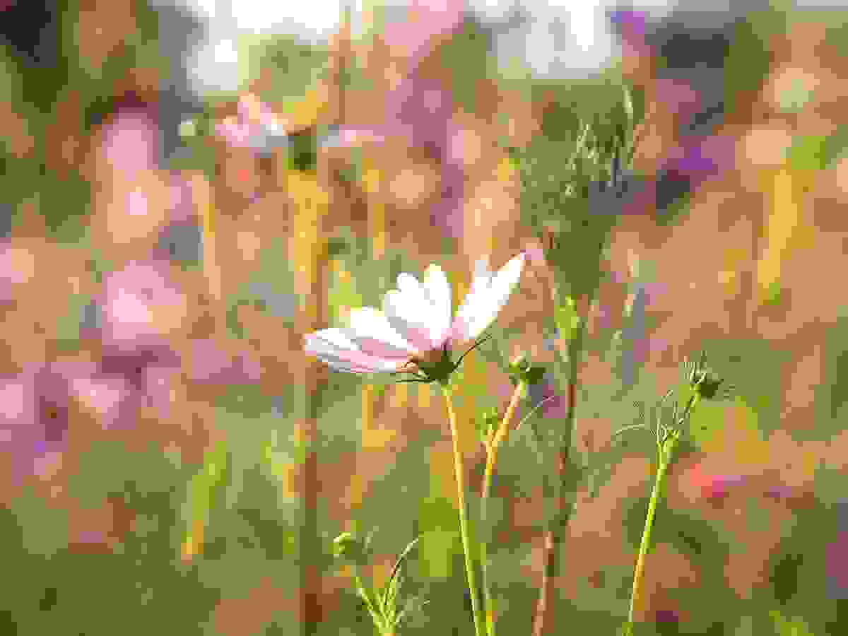 schritte_ch_wolfgang_weigand_blog_sommer24