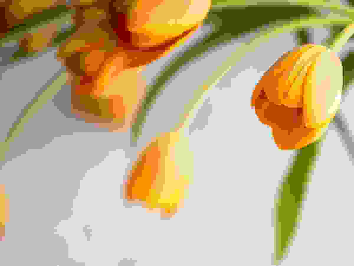 schritte_ch_wolfgang_weigand_blog_fruehling24