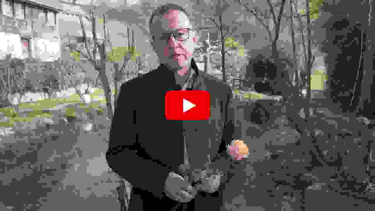 Schritte.ch_Wolfgang Weigand_Trauerbegleitung
