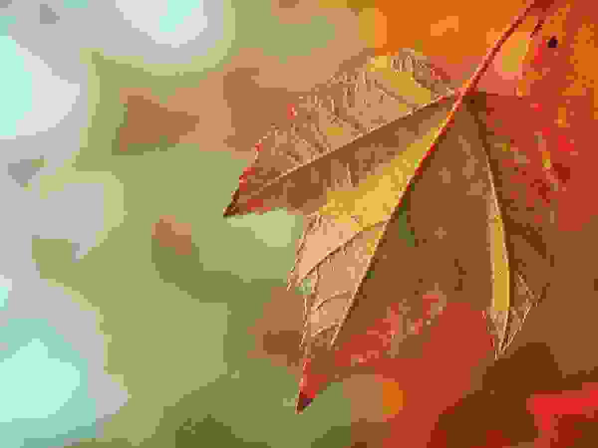 schritte_ch_wolfgang_weigand_blog_herbst24